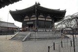 Hōryū-ji Yumedono @f4.5 12mm D70