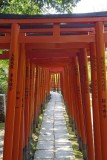 in Nezu shrine @f4 QS1