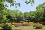 the inner garden of Meiji Shrine