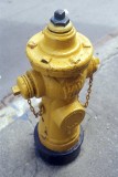 Hydrant @35mm Fujichrome