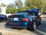 Chamelion paint SVT Mustang Cobra