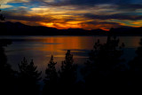 The Blue and Gold of Tahoe