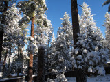 Spring Snow at Tahoe