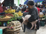  Ocotlan Market