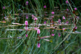 Kettle Lakes  45.jpg