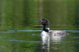 Kettle Lakes  8.jpg