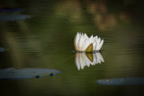 Halfway Lake 37.jpg