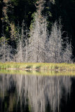 Halfway Lake 40.jpg