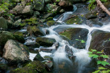 Arrowhead 11.jpg