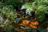 Arrowhead 9.jpg