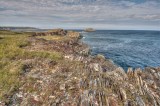NFLD Sept 2015-102.jpg