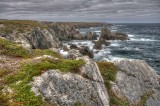 NFLD Sept 2015-83.jpg