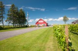 PEI PB 2015-50.jpg
