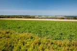 PEI PB 2015-54.jpg
