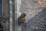 Gouda, prot gem Sint Janskerk Waterspuwer [011], 2016 8395.jpg