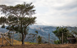 Another road side scene