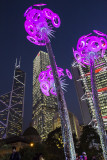 Christmas Lights in Central Statute Square, Hong Kong 