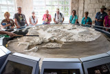 Megiddo - Model