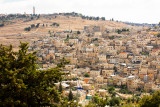 The Mount of Olives 