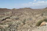 IMG_9714.JPG