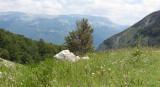 ABRUZZO NATIONAL PARK ITALY (11).JPG