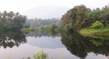 THATTEKAD WILDLIFE SANCTUARY KERALA INDIA (1).JPG