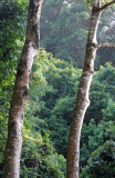 Similan Islands Thailand (13).JPG