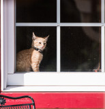 DSC_4135.jpg