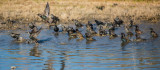 DSC_6843.jpg