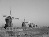 De molens van Kinderdijk in z/w