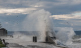 Towering Wave