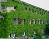 Castello Di Pergine Ivy