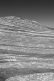 Black and White Lines
