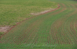 Plow Lines