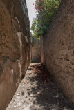 Alley Way