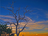 GhostTree
