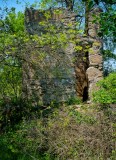 Homestead Ruins