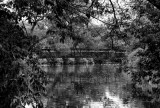 Fairy Lake Bridge