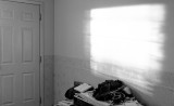 Morning Light