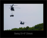 IMG_3720af-Boeing CH-47 Chinook.jpg