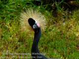 P1100637 Don.jpg