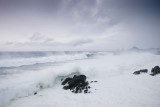 Hurricane Odile - The Beginning