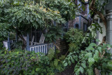20141012-_DSC3936-2.jpg