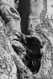 20150416-_DSC7030.jpg