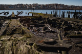 20151206-_DSC6247-HDR.jpg