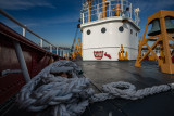 20151207-_DSC5561.jpg