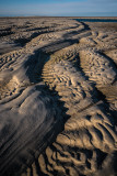 February : Chatham sand ripples
