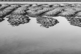 20160312-_DSC0837.jpg