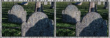 Sandwich Old Cemetery DSC3713.jpg