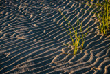_DSC6274.jpg